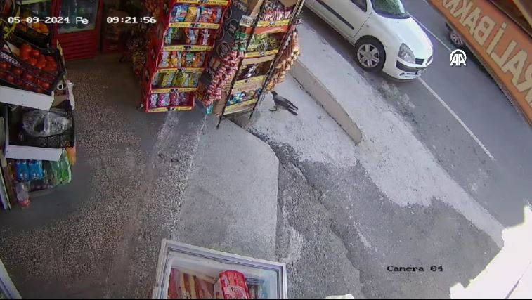 Bakkaldan cips çalan karga suçüstü yakalandı! Etrafı kolaçan etti paketi alıp kaçtı - Resim: 22